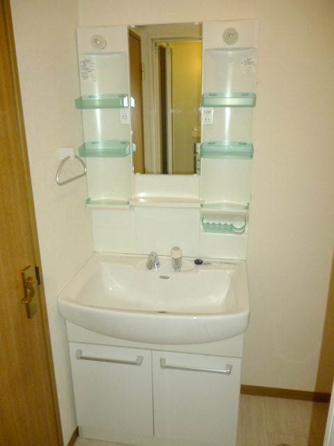 Washroom. Vanity shower