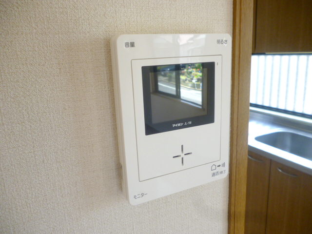 Security. TV monitor interphone