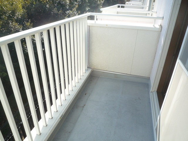 Balcony. Veranda