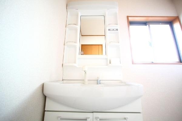 Wash basin, toilet. Morning wash basin with Shan Perfectly hand shower.