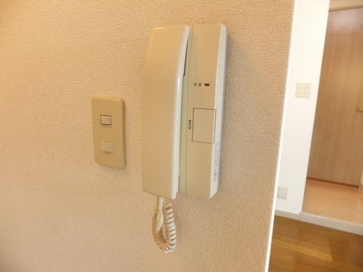 Security. Auto-lock of peace of mind