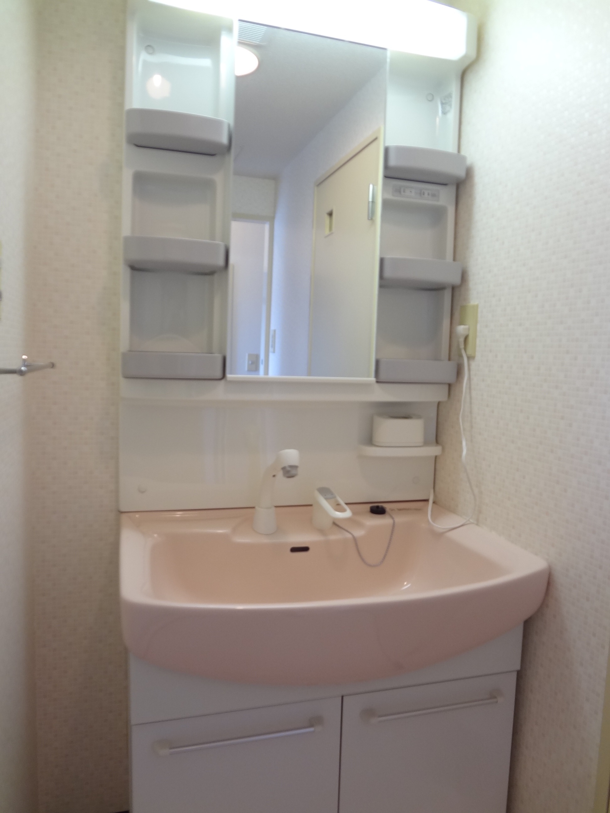 Washroom. Washbasin with shower