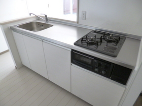 Kitchen. System kitchen, With gas two-burner grill