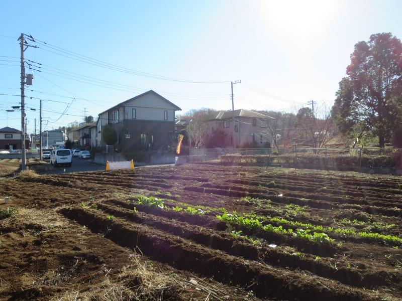 Local land photo. You can enjoy gardening and home garden. 