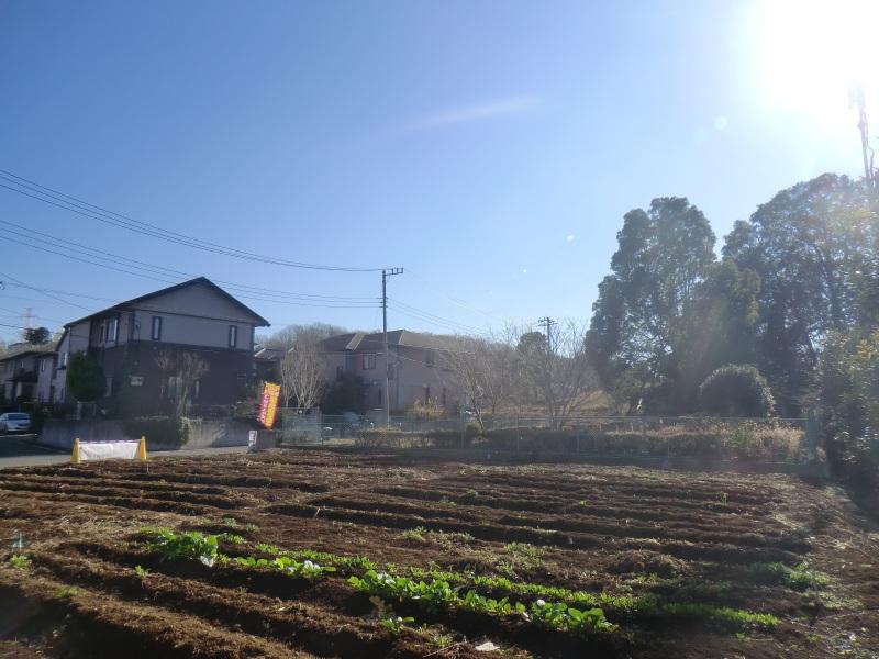 Local land photo. Day is good. 