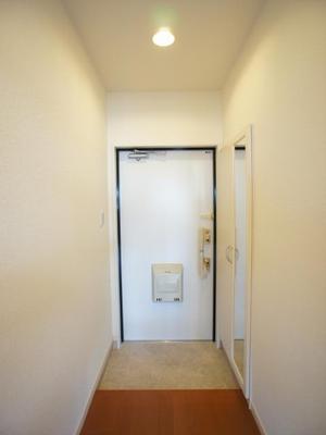 Entrance. Entrance space there is a full-length mirror