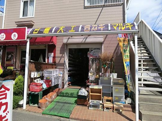 Other. Do-it-yourself shop Marquis 450m