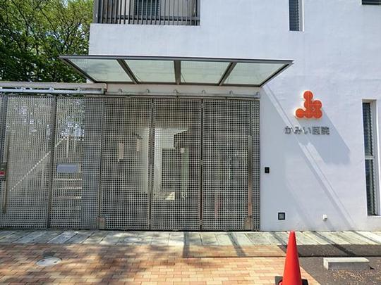 Hospital. Kamii 800m to clinic