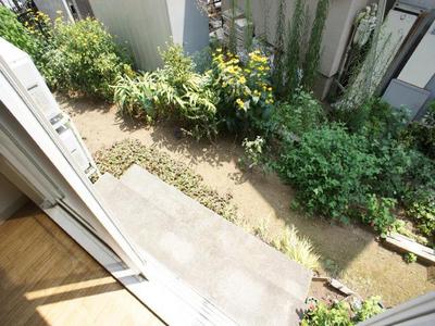 View. View from the balcony