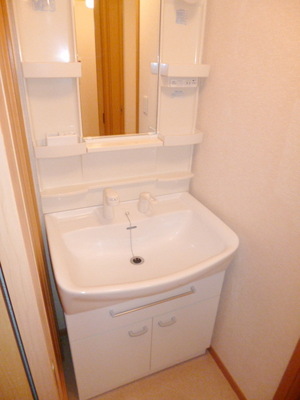Washroom. Popular independent wash basin