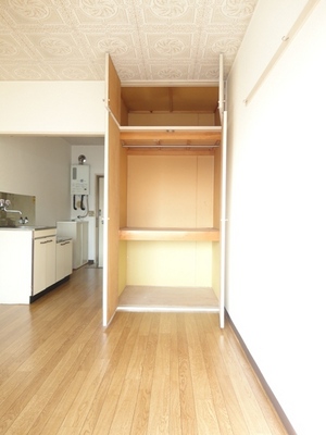 Receipt. Closet with depth! It organized a breeze to put even storage box