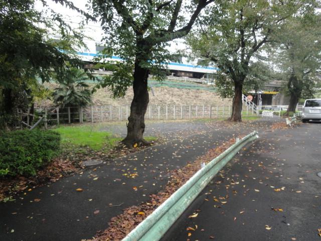 Local photos, including front road