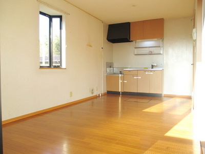 Living and room. Sunny living