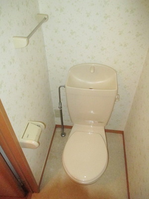 Toilet. Toilet