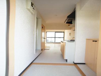 Entrance. Entrance space with a cleanliness