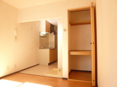 Living and room. There is also a closet!