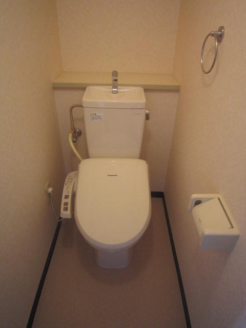 Toilet. Washlet equipment