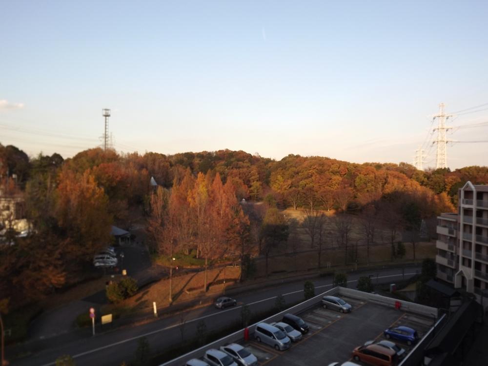 View photos from the dwelling unit. local