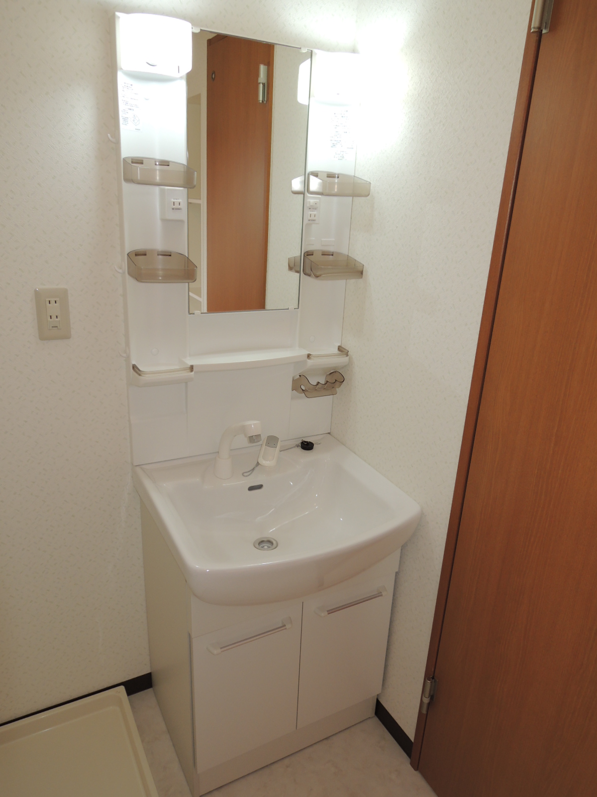 Washroom. Vanity shower