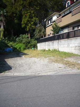 Local land photo. appearance