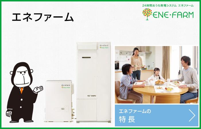 Other. ENE-FARM standard equipment