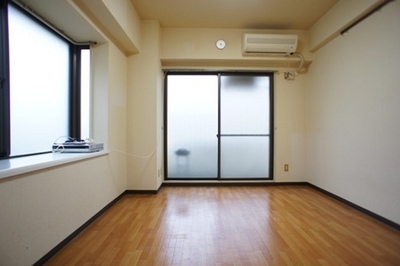 Living and room. Facing south! Bright is the room at any time in the two-sided lighting