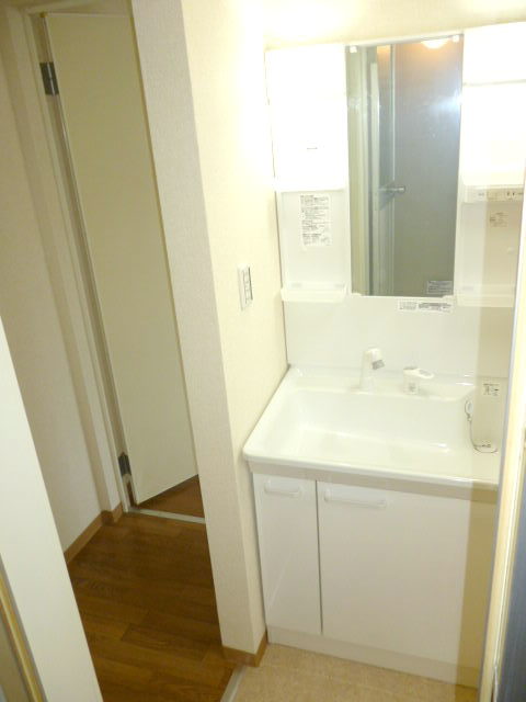 Washroom. Vanity shower