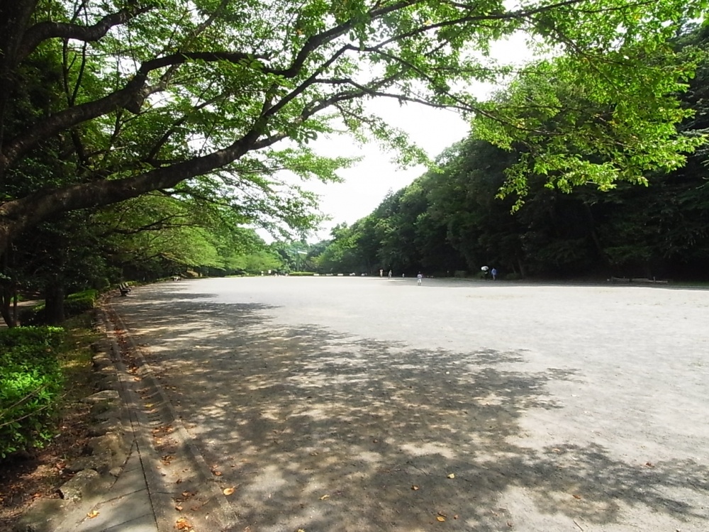 park. Seriketani to the park (park) 1460m