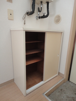 Other. Shoe box equipped! 