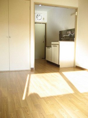 Living and room. Sunny room! 