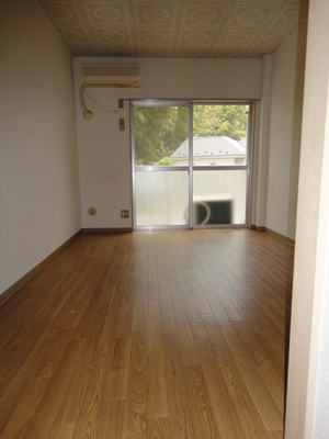 Living and room. The floor of the Wood will receive a soft impression! 