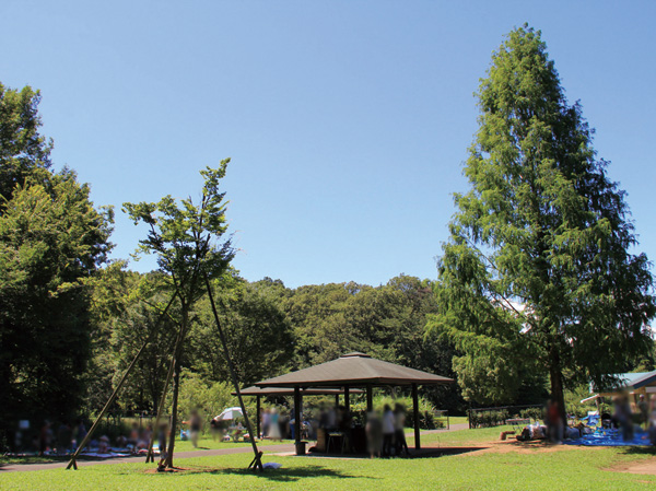 Surrounding environment. Surrounding environment