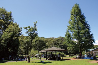 Metropolitan Osanai back park ・ 1 minute walk (about 10m)