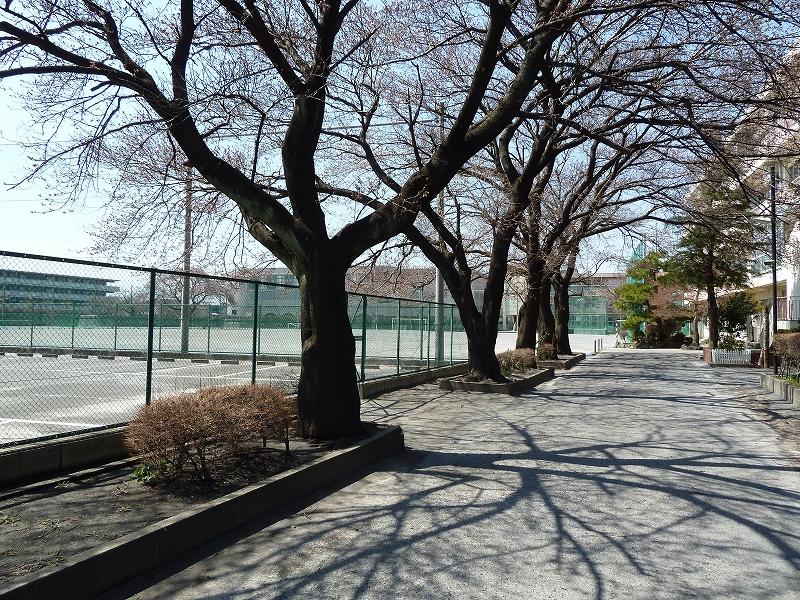 Junior high school. 387m until Machida Minami Junior High School