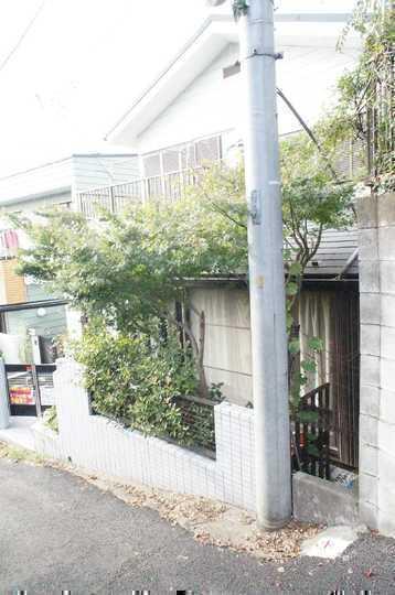 Local land photo. Local Photos