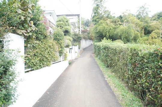 Local photos, including front road. Frontal road