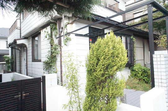 Local land photo. Local Photos