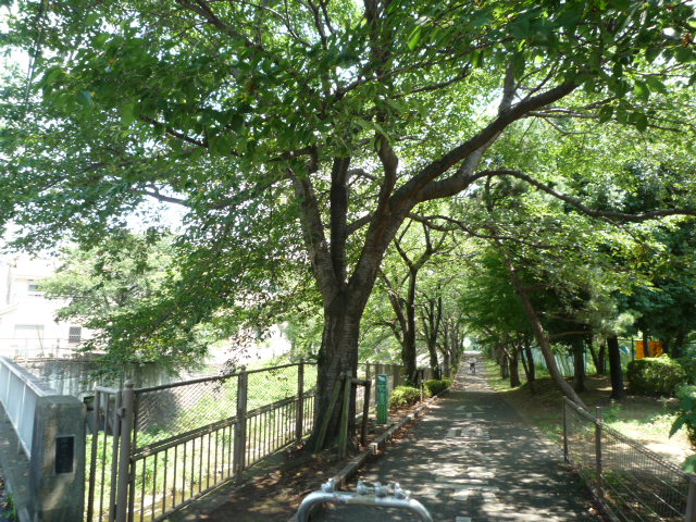 Other. Onda River promenade About 420m until the (other) 420m