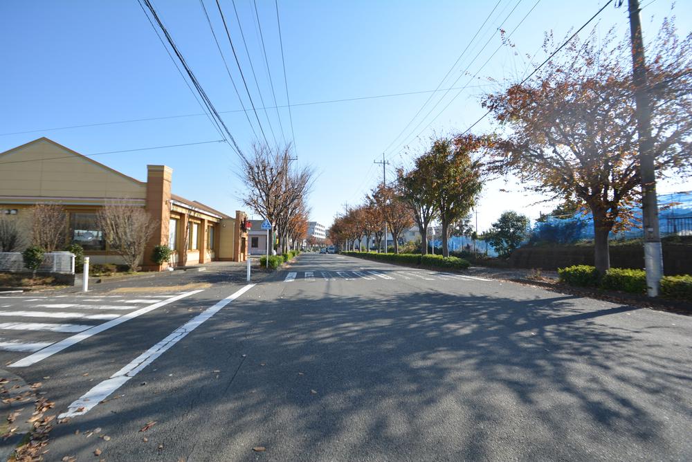 Other.  ☆ It is a tree-lined street ☆
