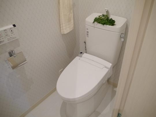 Toilet