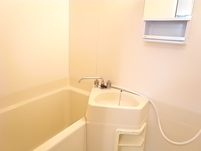 Bath. Washbasin bathroom