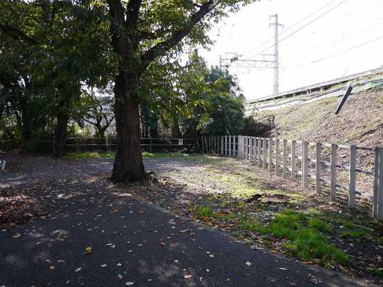 Other local. Good per sun, Lush living environment