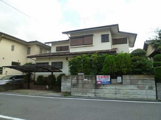 Local land photo. Appearance (1)