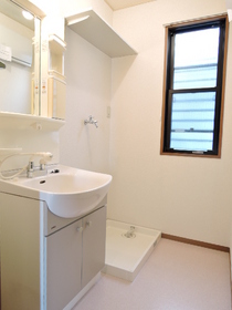 Washroom. There Vanity