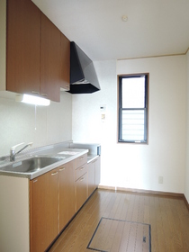 Kitchen. Spacious stand-alone kitchen