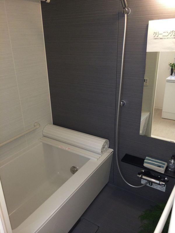Bathroom. Bathroom