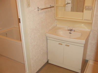 Washroom. Busy morning of convenient independent washbasin to get dressed.