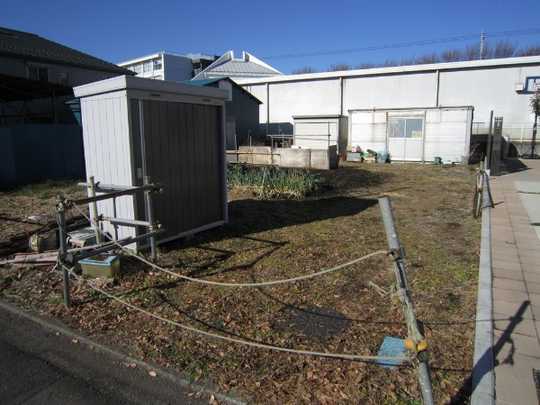 Local land photo. appearance