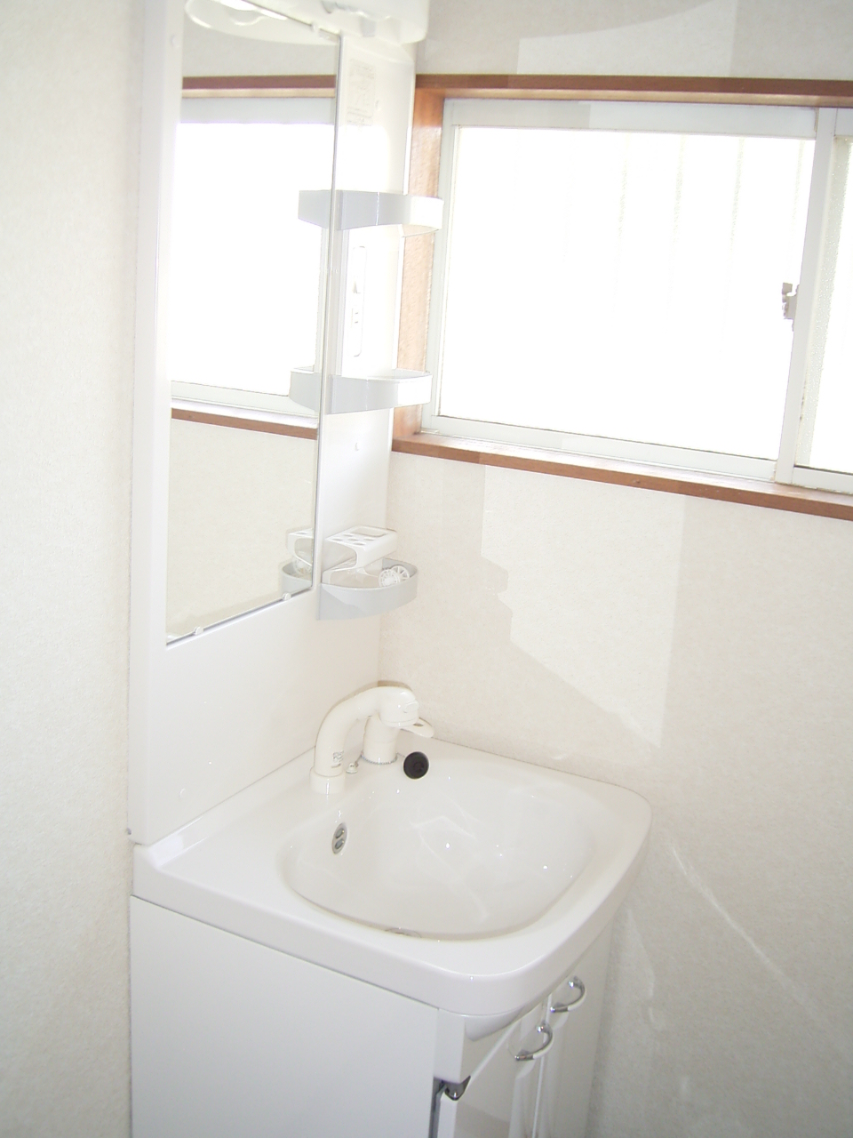 Washroom. Shampoo dresser