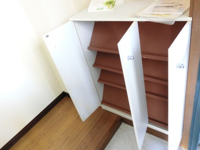 Entrance. Storage space is plenty of cupboard.